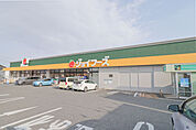 ジョイフーズ 伊勢崎上諏訪店 1248m