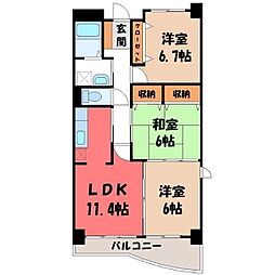 クラール 4階/-