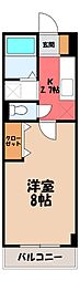 パルハイム2000 1階/-
