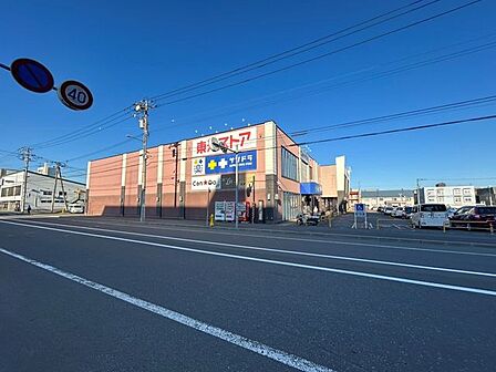 【周辺環境】東光ストア北栄店様まで徒歩約3分です。(約220m)