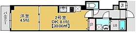 千葉県千葉市花見川区幕張町5丁目（賃貸マンション1DK・1階・30.06㎡） その2