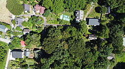 物件画像 白樺のある整形地。閑静な白井沢で、ゆとりある別荘ライフを。