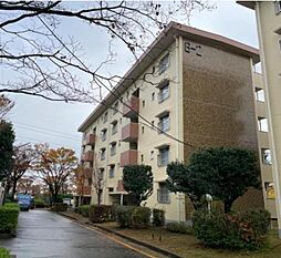 物件画像 松が谷団地住宅6−2号棟