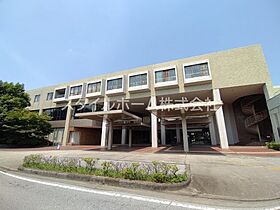 アベイコート 206 ｜ 愛知県豊橋市一色町字一色上40（賃貸アパート1LDK・2階・46.97㎡） その25