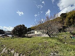 物件画像 奈良市月ヶ瀬石打　売土地