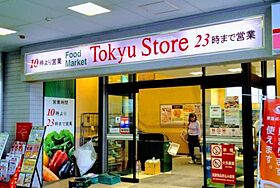 東京都品川区中延2丁目（賃貸アパート1R・2階・20.70㎡） その13