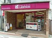 ナチュラルローソン3丁目店 125m