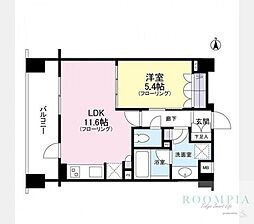クレアホームズ新宿百人町 1LDKの間取図画像