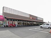 マルキョウ神野店(279m)