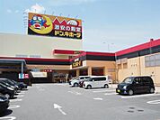 ドンキホーテ(1、600m)