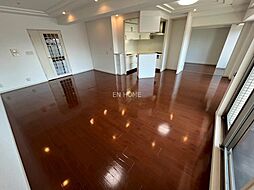 フェニックス日本橋高津 1103 11階2LDKのリビング/ダイニング