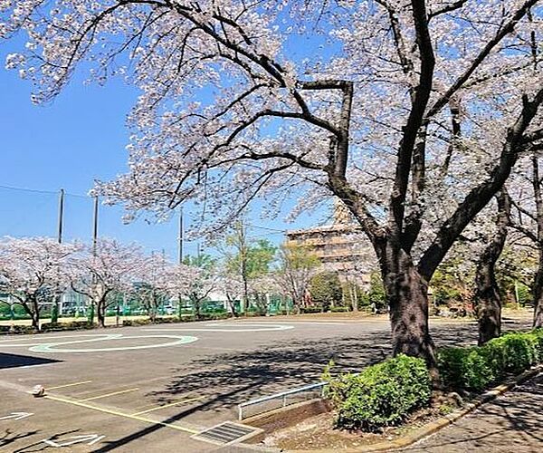 周辺を拡大表示