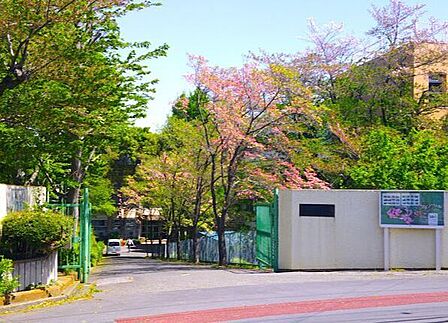川口市立小谷場中学校 590m