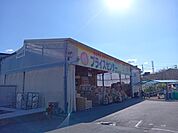 超プライスセンター川口本店 1300m
