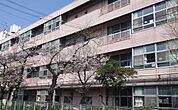 川口市立飯塚小学校 550m