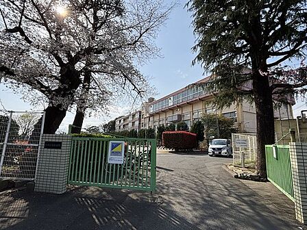 川口市立根岸小学校 30m