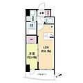 セレニテ九条リアン7階9.0万円