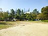 周辺：【忠道公園】ナイター設備のある野球場（有料）があります。両側ベンチには屋根もついています。広々とした公園で小さなお子様からお年寄りまで幅広くご利用できる公園です。 400m