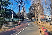 青木町公園総合運動場の外観