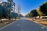 周辺：青木町公園の外観