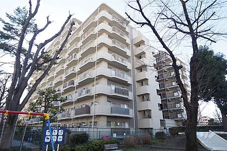 蓮根ファミールハイツの外観(北東側から)
