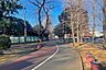周辺：青木町公園総合運動場の外観