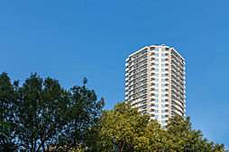 物件画像 グランドメゾン上町台レジデンスタワー
