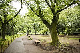 コーポ栄 205 ｜ 東京都杉並区善福寺２丁目10-13（賃貸アパート1K・2階・17.39㎡） その20