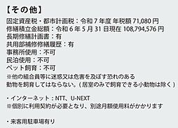 その他
