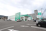 ザグザグ鬼無店