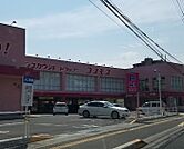ディスカウントドラッグコスモス木太店