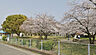 周辺：中津公園