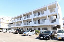 マリッチ溝渕II