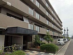 アルファスマートレインボー通り