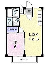 シティハイツ中美 1LDKの間取図画像