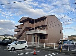 ヴィドゥ　カンパーニュ