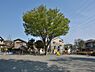 周辺：シンボルツリーのある公園。複合滑り台やユニークな形の遊具があります。お子様お気に入りの遊び場になりそうですね。