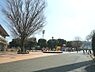 周辺：広い運動施設や芝生広場、散策路が整い、桜の名所としても人気の大きな公園です。遊具エリアもあり、散歩や軽い運動、ピクニックなど多様な過ごし方ができます。歴史あるスポーツ拠点として地元でも親しまれています