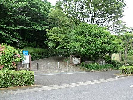 戦国時代の大庭城跡を整備した歴史公園です。広大な芝生広場や四季折々の花が楽しめ、ハイキングやピクニックに最適です。