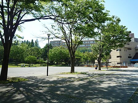 開放的な芝生広場と豊かな緑が広がる街のオアシス的公園。市民の憩いの場や運動スポットとして親しまれているほか、広域避難場所としての防犯・防災機能も備えています。