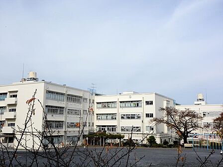 横浜市立横浜深谷台小学校(250)