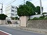 周辺：藤沢市立御所見小学校まで約501m
