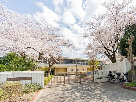 横浜市立小坪小学校まで約600m。