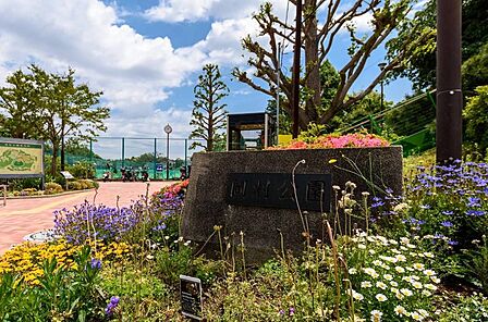 豊かな緑と広々とした敷地が広がり、身近でリフレッシュや運動が楽しめる公園です。散策やスポーツなど多目的に利用でき、世代を問わず親しまれています。周辺の暮らしに潤いと憩いを与える魅力的な環境です。