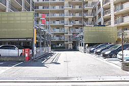 8 / 17