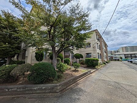 あると便利なコンビニ・公園がすぐそばにございます