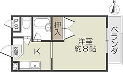 アルカディアＳＴ 3階1Kの間取り