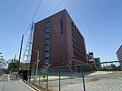 私立大阪成蹊大学 徒歩12分。 910m