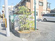 植栽