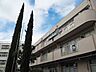周辺：横浜市立綱島小学校